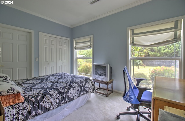 carpeted bedroom featuring a closet and ornamental molding