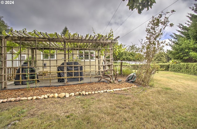 17130 Eastwood Ln, Brookings, OR 97415 - view of yard