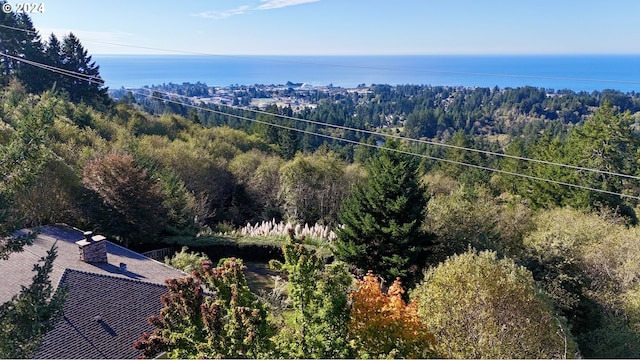 17130 Eastwood Ln, Brookings, OR 97415 - view from above of property featuring a forest and a nearby body of water