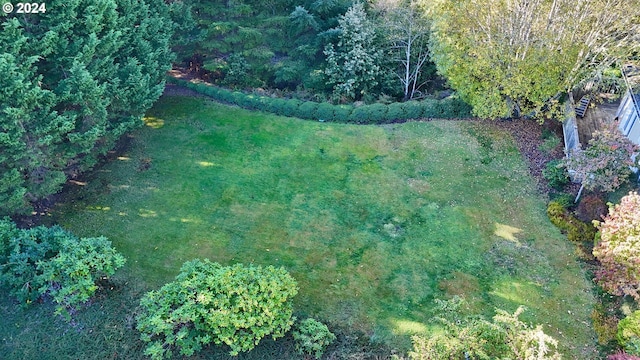 17130 Eastwood Ln, Brookings, OR 97415 - view of grassy yard