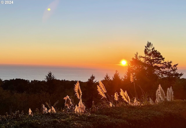 17130 Eastwood Ln, Brookings, OR 97415 - nature at dusk featuring a water view