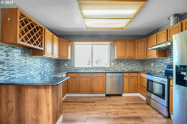 kitchen with stainless steel appliances, under cabinet range hood, a sink, light wood finished floors, and decorative backsplash