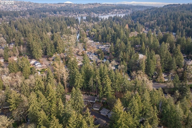 bird's eye view with a forest view