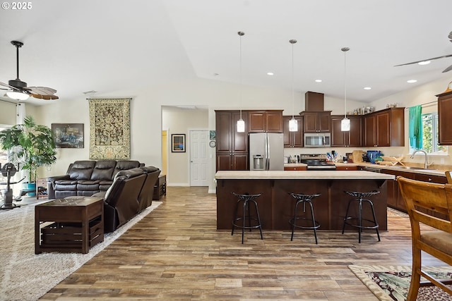 kitchen featuring ceiling fan, appliances with stainless steel finishes, and light wood-style floors