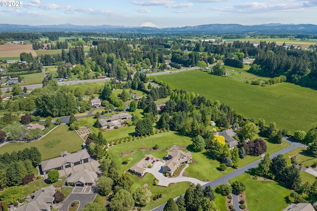 10000 NE 114th Cir, Vancouver, WA 98662 - aerial overview of property's location with a mountainous background