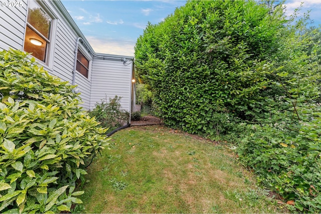 123 Scenic View Dr, Longview, WA 98632 - view of green lawn