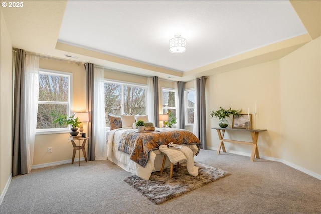 bedroom with multiple windows, a raised ceiling, and carpet