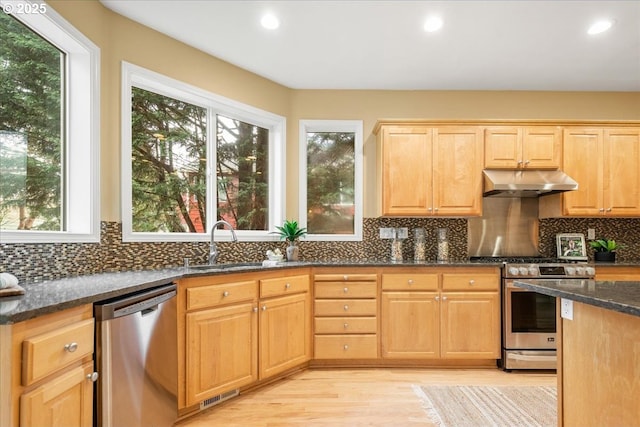 kitchen with under cabinet range hood, dark stone counters, light wood-style flooring, stainless steel appliances, and a sink