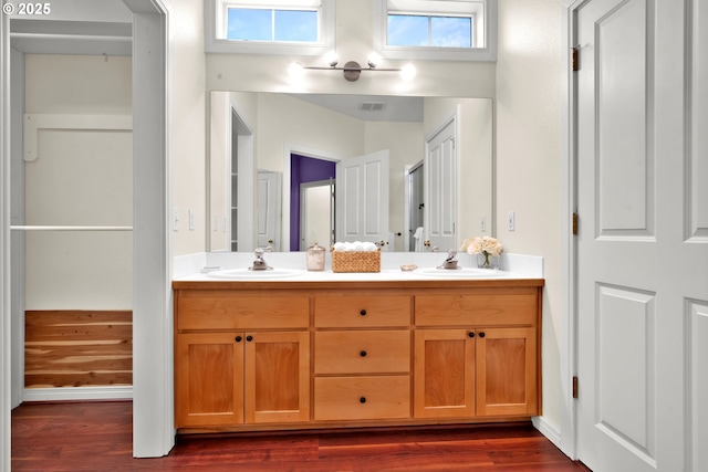 bathroom with wood-type flooring and vanity