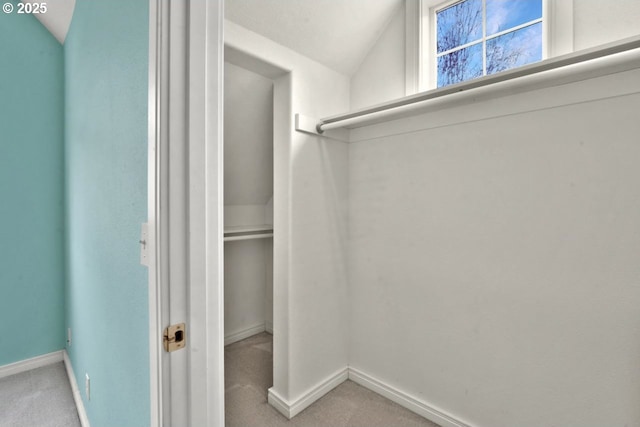 walk in closet featuring vaulted ceiling and carpet flooring