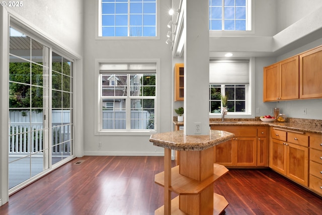 kitchen featuring light stone countertops, sink, dark hardwood / wood-style floors, and a towering ceiling