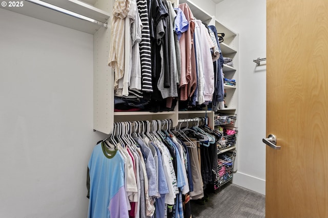 view of walk in closet