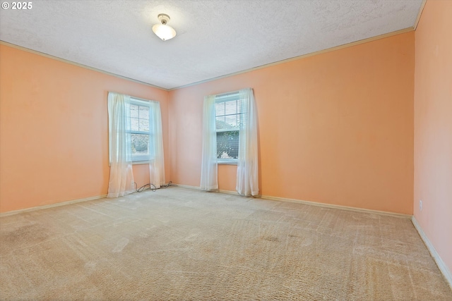 carpeted spare room with crown molding and a textured ceiling