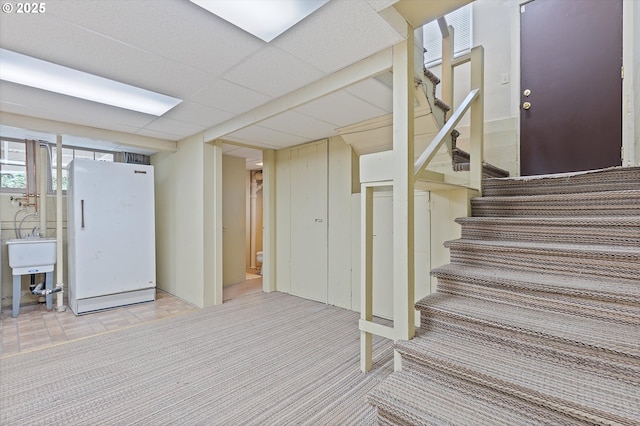 interior space with white fridge, sink, a paneled ceiling, and light carpet