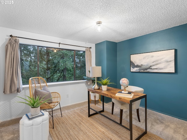 carpeted office space with a textured ceiling