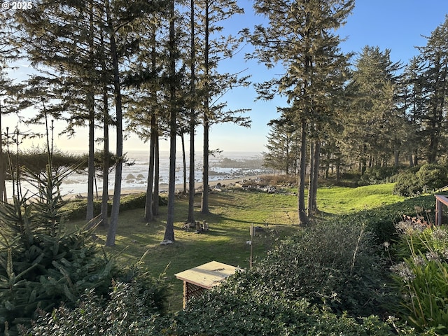 view of yard featuring a water view