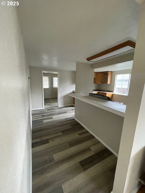 hall with a wealth of natural light, baseboards, and wood finished floors