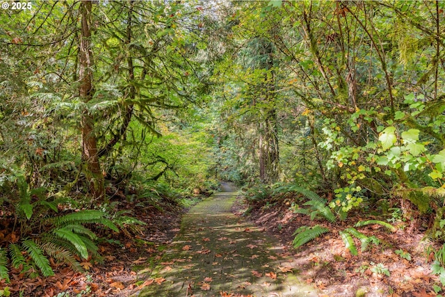 35908 Chinook St, Sandy, OR 97055 - view of tree filled area