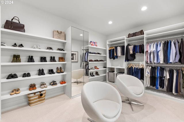 spacious closet with carpet