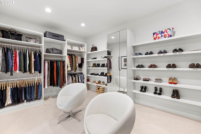 spacious closet with carpet floors