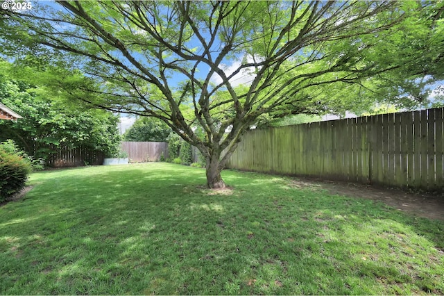 1533 Sequoia Ave, Springfield, OR 97477 - view of yard