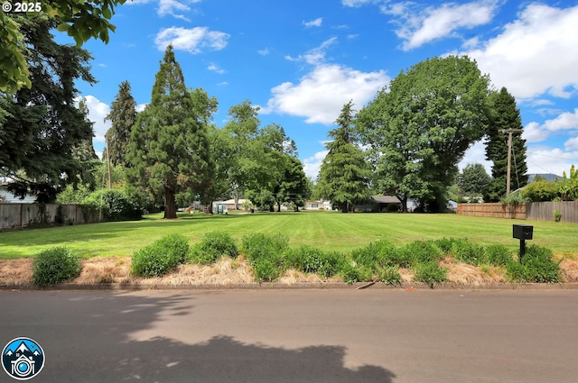 1533 Sequoia Ave, Springfield, OR 97477 - view of yard