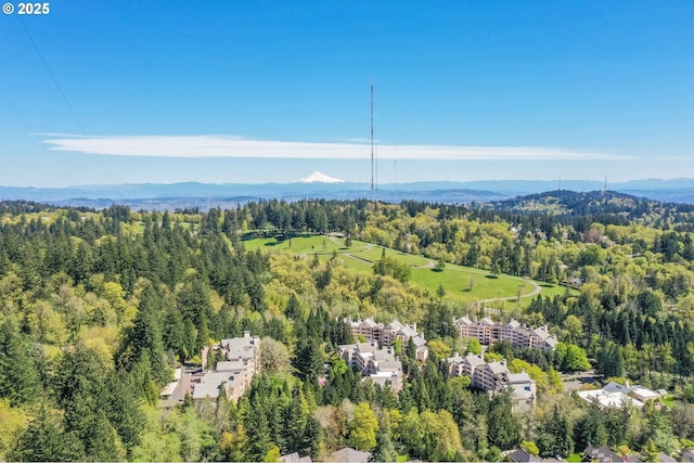 bird's eye view featuring a wooded view and a mountain view