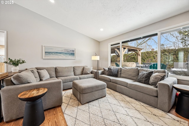 living room featuring light wood-type flooring, lofted ceiling, a textured ceiling, and a healthy amount of sunlight