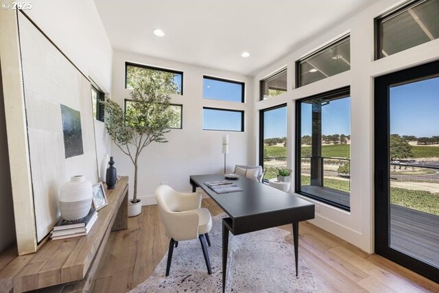 office featuring light hardwood / wood-style floors