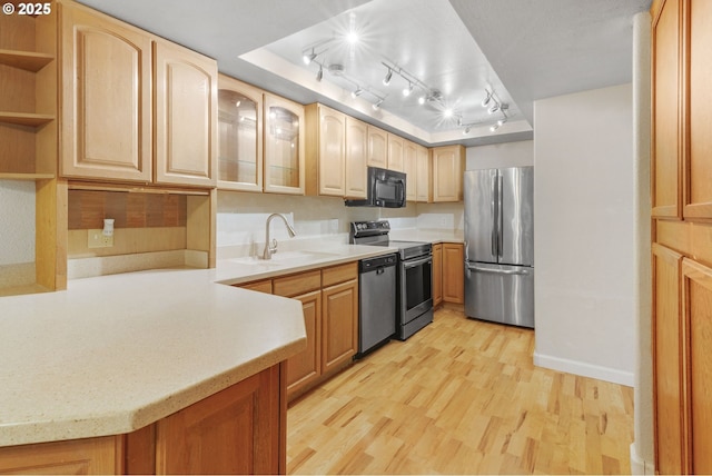 1621 NE 113th St Unit 132, Vancouver, WA 98686 - kitchen with stainless steel appliances, a sink, a raised ceiling, light wood-style floors, and track lighting