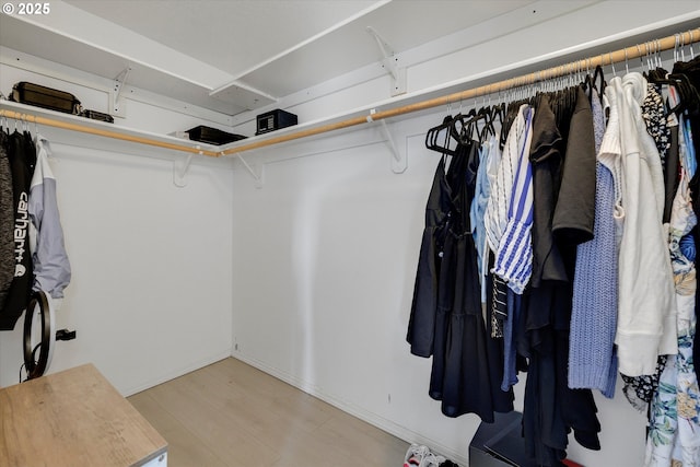 walk in closet featuring wood finished floors