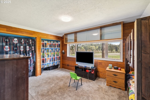 28272 S Hult Rd, Beavercreek, OR 97004 - living area with carpet, wooden walls, and a textured ceiling