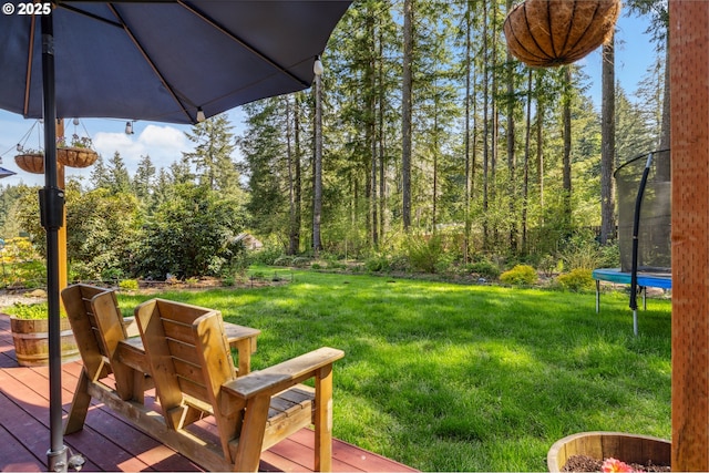 28272 S Hult Rd, Beavercreek, OR 97004 - view of green lawn with a trampoline and a deck
