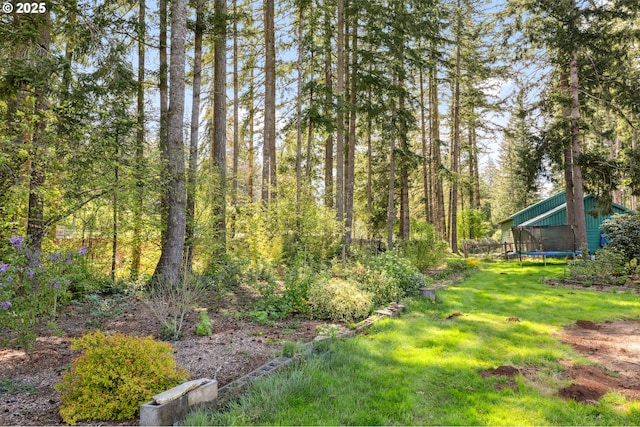 28272 S Hult Rd, Beavercreek, OR 97004 - view of green lawn featuring a trampoline and a wooded view