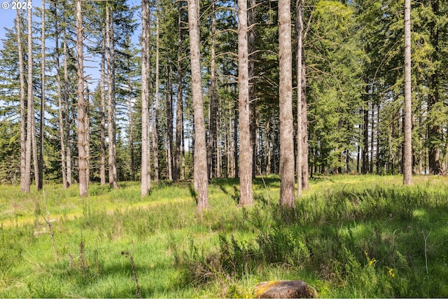 28272 S Hult Rd, Beavercreek, OR 97004 - view of nature