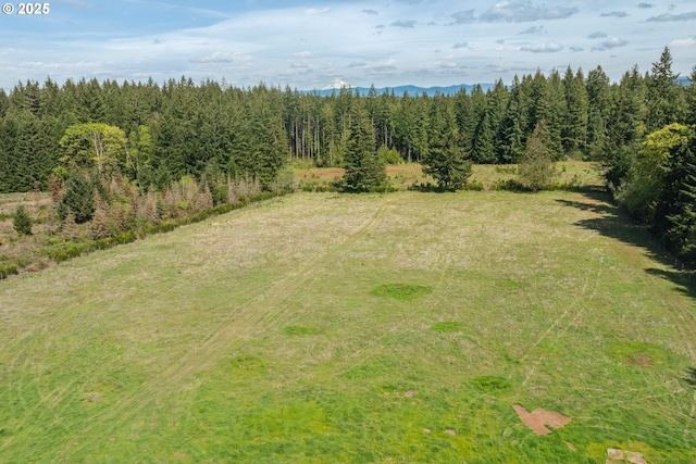 28272 S Hult Rd, Beavercreek, OR 97004 - drone / aerial view