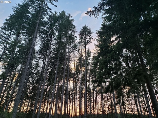 28272 S Hult Rd, Beavercreek, OR 97004 - view of local wilderness