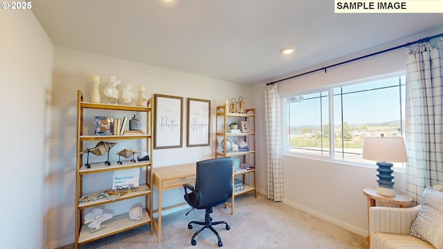 view of carpeted home office