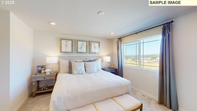 view of carpeted bedroom