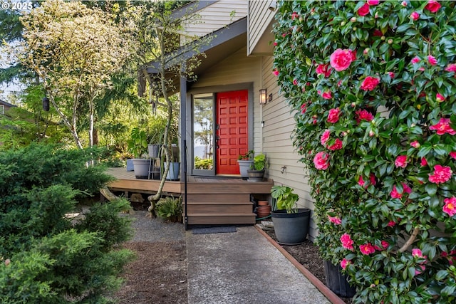 view of exterior entry with a wooden deck