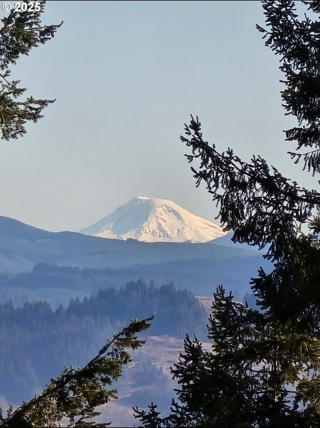 view of mountain feature