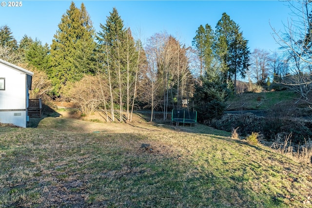 1502 Columbia St, Cathlamet, WA 98612 - view of yard featuring a trampoline