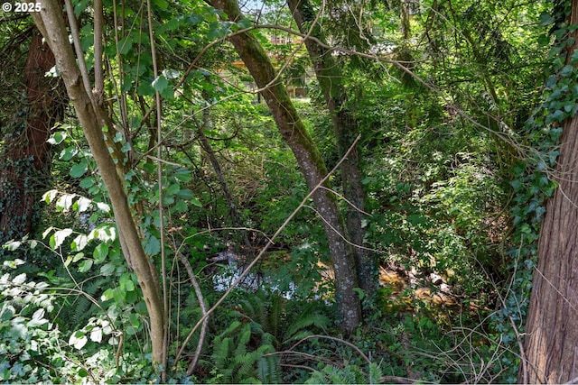 233 SE Paloma Ave, Gresham, OR 97080 - view of woods