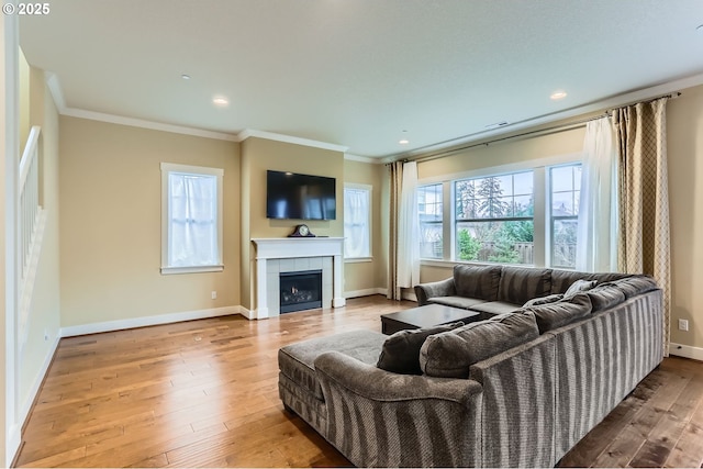 living room featuring crown molding, a wealth of natural light, a fireplace, and wood-type flooring