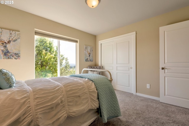 bedroom with baseboards and carpet