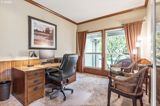 carpeted home office with ornamental molding, wainscoting, and wood walls
