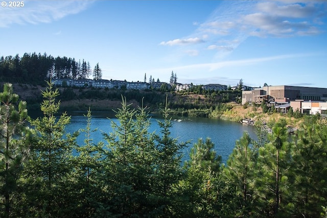 property view of water