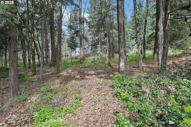 Jewett Ln, White Salmon, WA 98672