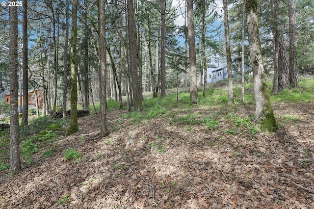 Jewett Ln, White Salmon, WA 98672