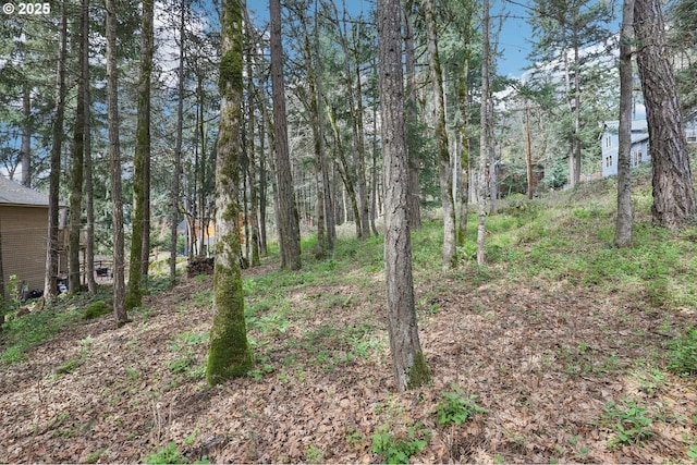 Jewett Ln, White Salmon, WA 98672